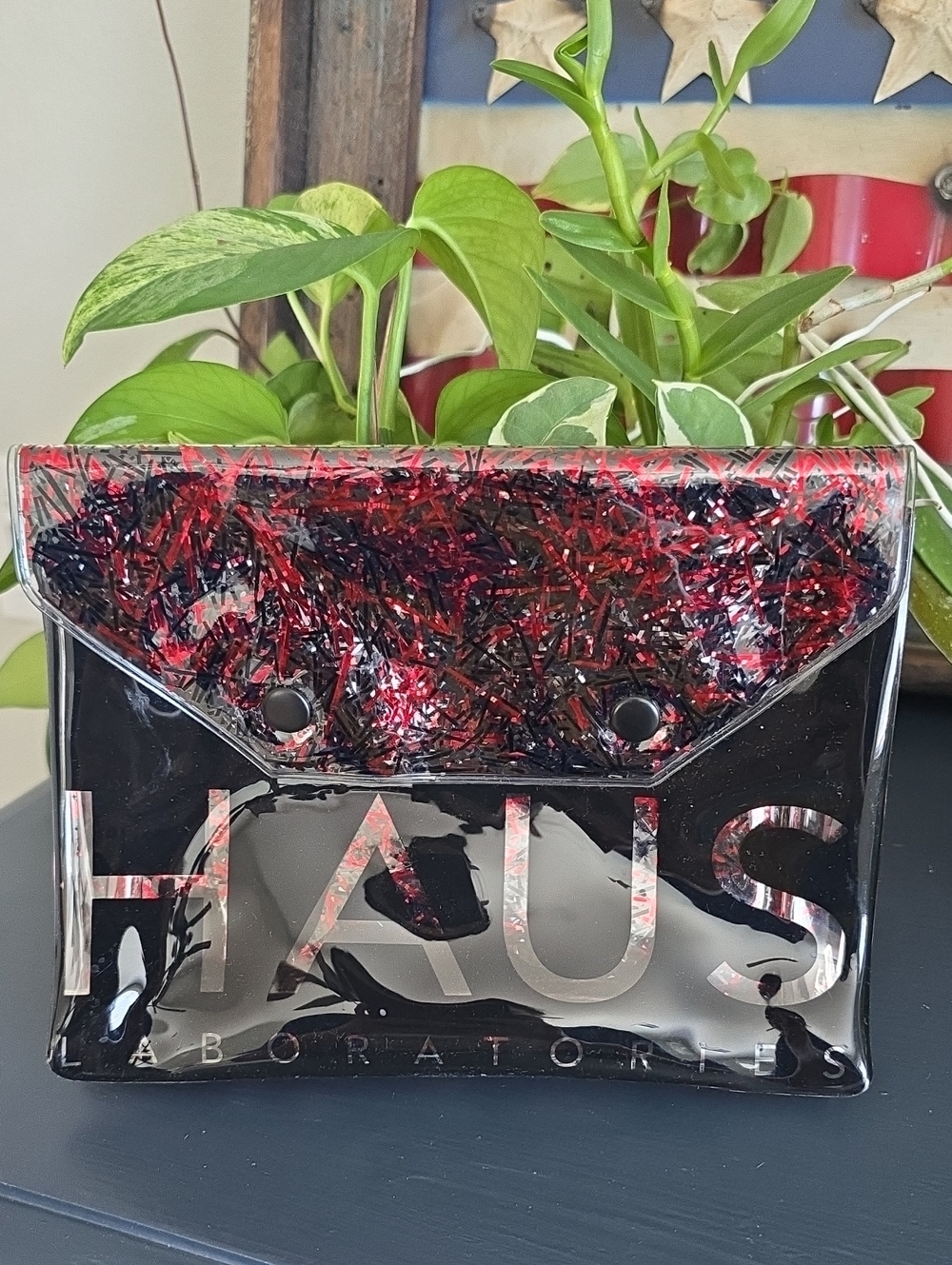 8/29  haus makeup bag